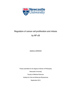 Regulation of Cancer Cell Proliferation and Mitosis by NF-Κb