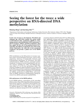 A Wide Perspective on RNA-Directed DNA Methylation