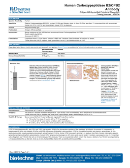 Human Carboxypeptidase B2/CPB2 Antibody Antigen Affinity-Purified Polyclonal Sheep Igg Catalog Number: AF6036