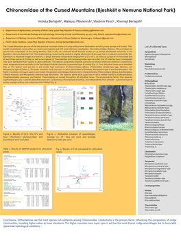 Chironomus Plumosus-Type and Average No