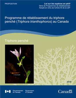 Triphore Penché (Triphora Trianthophoros) Au Canada