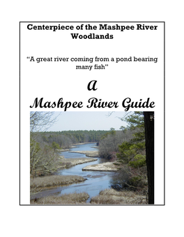 Centerpiece of the Mashpee River Woodlands