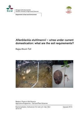 Allanblackia Stuhlmannii – a Tree Under Current Domestication: What Are the Soil Requirements?