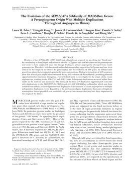 The Evolution of the SEPALLATA Subfamily of MADS-Box Genes: a Preangiosperm Origin with Multiple Duplications Throughout Angiosperm History