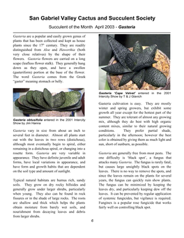 Succulent of the Month April 2003 - Gasteria