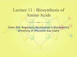 Lecture 11 - Biosynthesis of Amino Acids