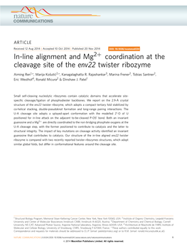 In-Line Alignment and Mg2&Plus; Coordination at the Cleavage Site of the Env22 Twister Ribozyme
