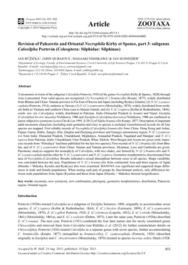 Revision of Palearctic and Oriental Necrophila Kirby Et Spence, Part 3: Subgenus Calosilpha Portevin (Coleoptera: Silphidae: Silphinae)