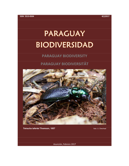 The Early Stages of Paracles Aurantiaca (Rothschild, 1910) (Lepidoptera: Erebidae: Arctiini)