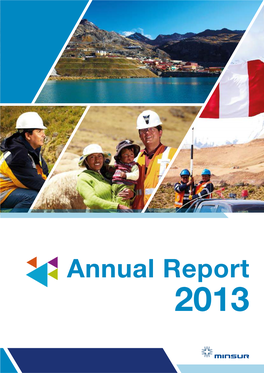 Annual Report 2013