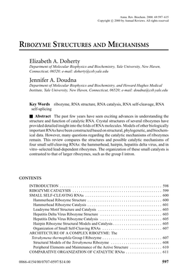 Ribozyme Structures and Mechanisms