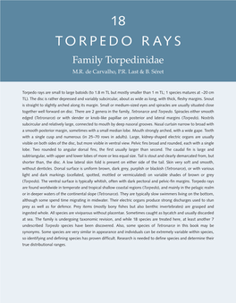 TORPEDO RAYS Family Torpedinidae M.R