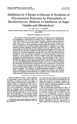 Inhibition by 2-Deoxy-D-Glucose of Synthesis of Saccharomyces