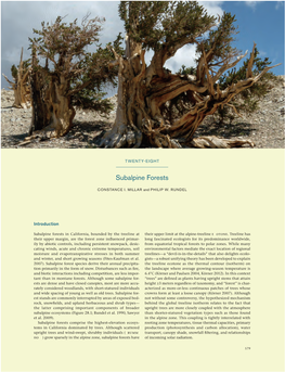 Subalpine Forests