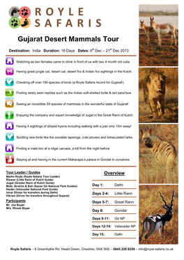 Gujarat Desert Mammals Tour