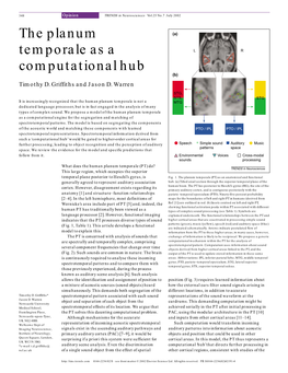 The Planum Temporale As a Computational