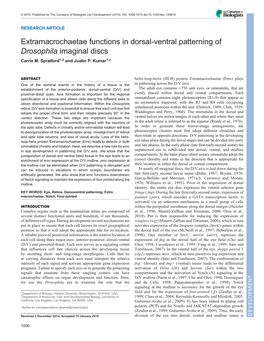 Drosophila Imaginal Discs Carrie M