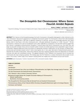 The Drosophila Dot Chromosome: Where Genes Flourish Amidst Repeats