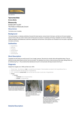 Yponomeutidae Biosecurity Occurrence Background