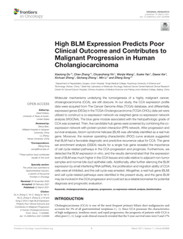 Downloaded from the Cancer Genome Atlas Genes and Genomes (KEGG) Enrichment Analyses Utilizing the R (TCGA) Database (