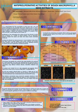 Antiproliferative Activities of Bouea Macrophylla Seed Extracts