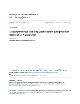 Molecular Pathways Mediating Glial Responses During Wallerian Degeneration: a Dissertation