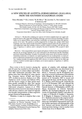 Formicariidae: Grallaria) from the Southern Ecuadorian Andes