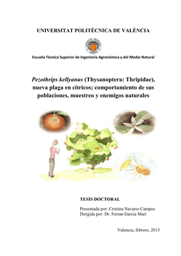 (Thysanoptera: Thripidae), Nueva Plaga En Cítricos; Comportamiento De Sus Poblaciones, Muestreo Y Enemigos Naturales