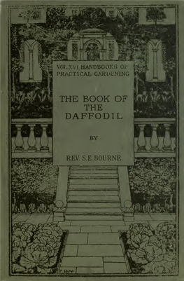 The Book of the Daffodil