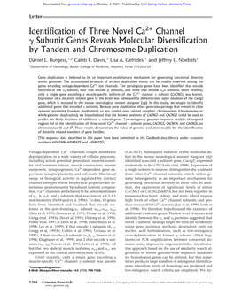 Identification of Three Novel Ca Channel Subunit Genes Reveals