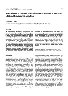 Regionalisation of the Mouse Embryonic Ectoderm: Allocation of Prospective Ectodermal Tissues During Gastrulation