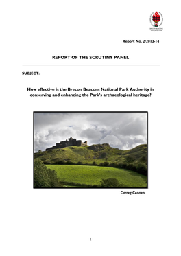 Archaeology Scrutiny Report