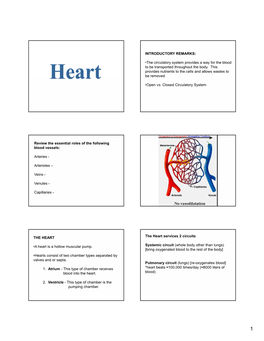 The Circulatory System Provides a Way for the Blood to Be Transported Throughout the Body