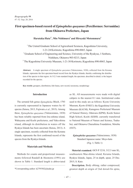 First Specimen-Based Record of Epinephelus Quoyanus (Perciformes: Serranidae) from Okinawa Prefecture, Japan