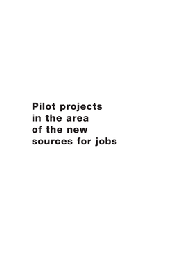 Pilot Projects in the Area of the New Sources for Jobs Table of Contents