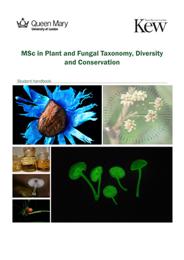 Msc in Plant and Fungal Taxonomy, Diversity and Conservation