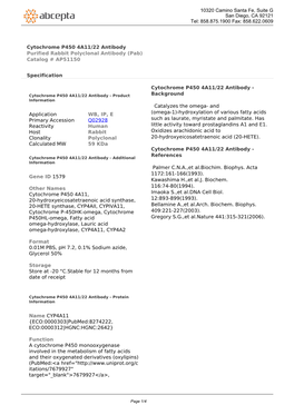 Cytochrome P450 4A11/22 Antibody Purified Rabbit Polyclonal Antibody (Pab) Catalog # AP51150