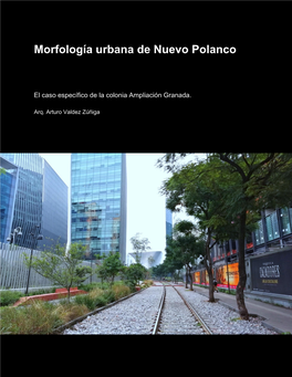 Morfología Urbana De Nuevo Polanco. El Caso Específico De La Ampliación Granada