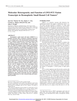 Molecular Heterogeneity and Function of EWS-WT1 Fusion Transcripts in Desmoplastic Small Round Cell Tumors1