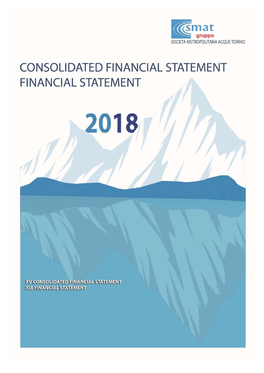 Consolidated Financial Statement