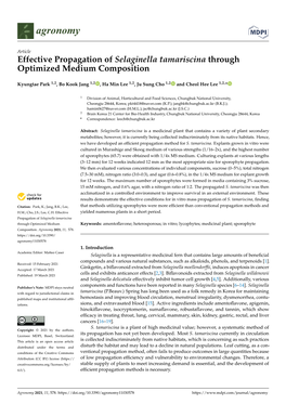 Effective Propagation of Selaginella Tamariscina Through Optimized Medium Composition