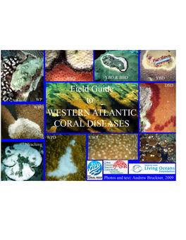 Field Guide to Western Atlantic Coral Diseases