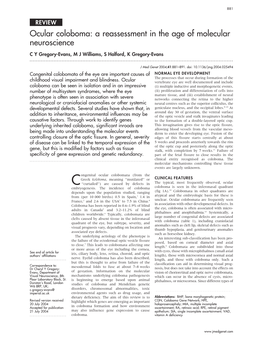 Ocular Coloboma: a Reassessment in the Age of Molecular Neuroscience