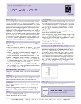 Datasheet Blank Template