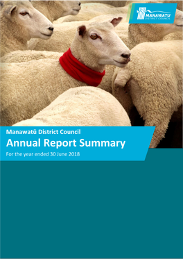 Annual Report Summary for the Year Ended 30 June 2018