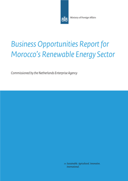 Business Opportunities Report for Morocco's Renewable Energy Sector