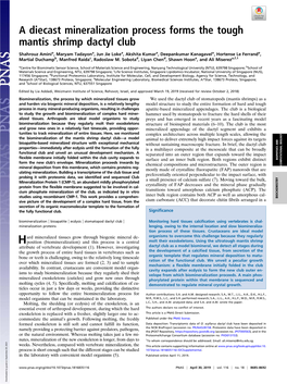 A Diecast Mineralization Process Forms the Tough Mantis Shrimp Dactyl Club