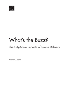 The City-Scale Impacts of Drone Delivery