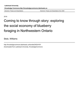 Exploring the Social Economy of Blueberry Foraging in Northwestern Ontario