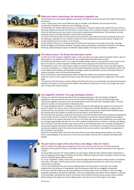 2000 Years Before Stonehenge: the Almendres Megalithic Site the Solitary Stones: the Monte Dos Almendres Menhir the Megalithic C